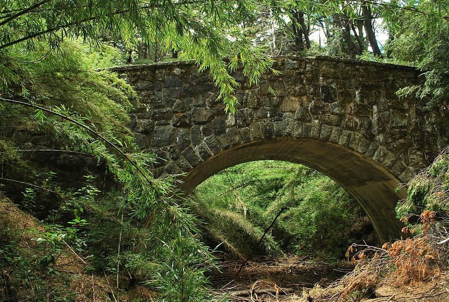 brown bridge over bridge, Roman, Forest, Arc, Stone, Trail HD wallpaper