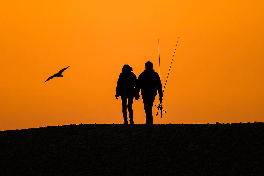 silhouette of couple with fishing rods and flying bird on hill HD wallpaper