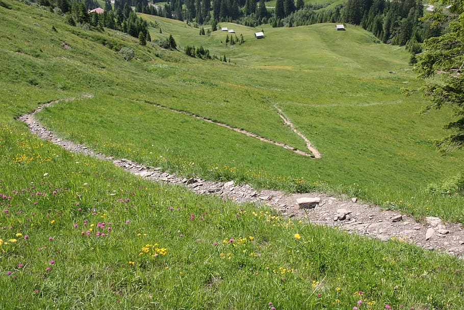 Trail, Path, Serpentine, Away, steinig, valley, hiking, mountain HD wallpaper