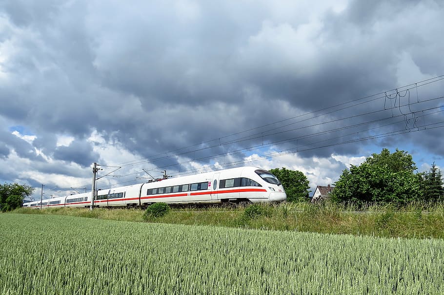 selective focus photography of white and red bullet train passing through grass field HD wallpaper