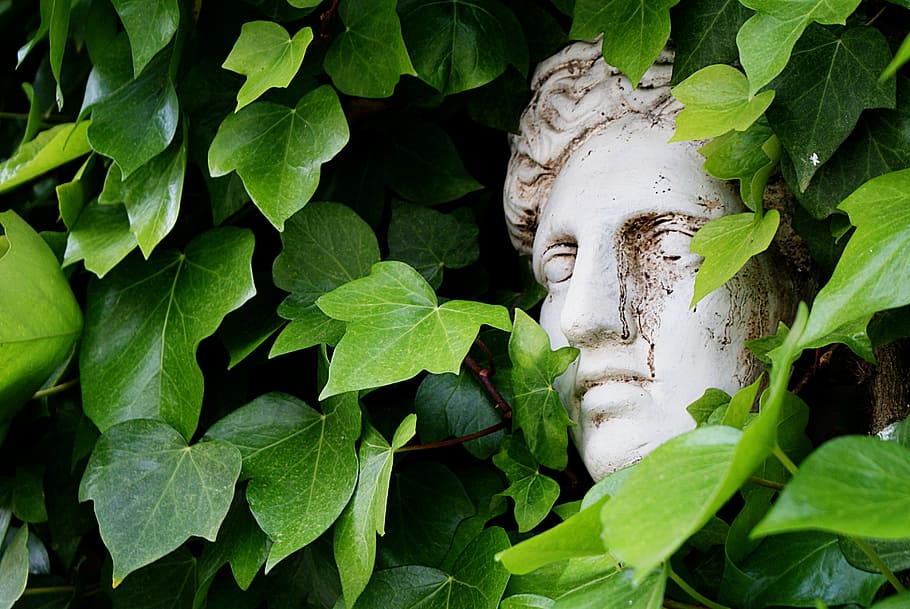 bust, ivy, tuscany, rest, garden, leaf, plant part, growth HD wallpaper