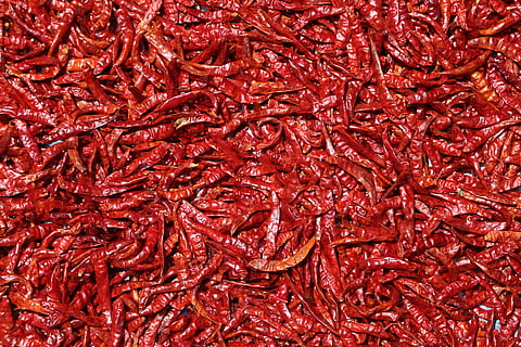 flat lay photo of chillis, spices, dry, red, chili, ingredient HD wallpaper
