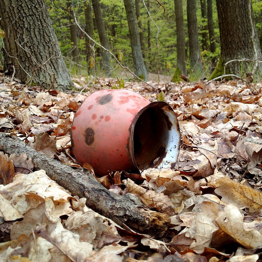forest, trash, ecology, pot, environment, waste, recycling HD wallpaper