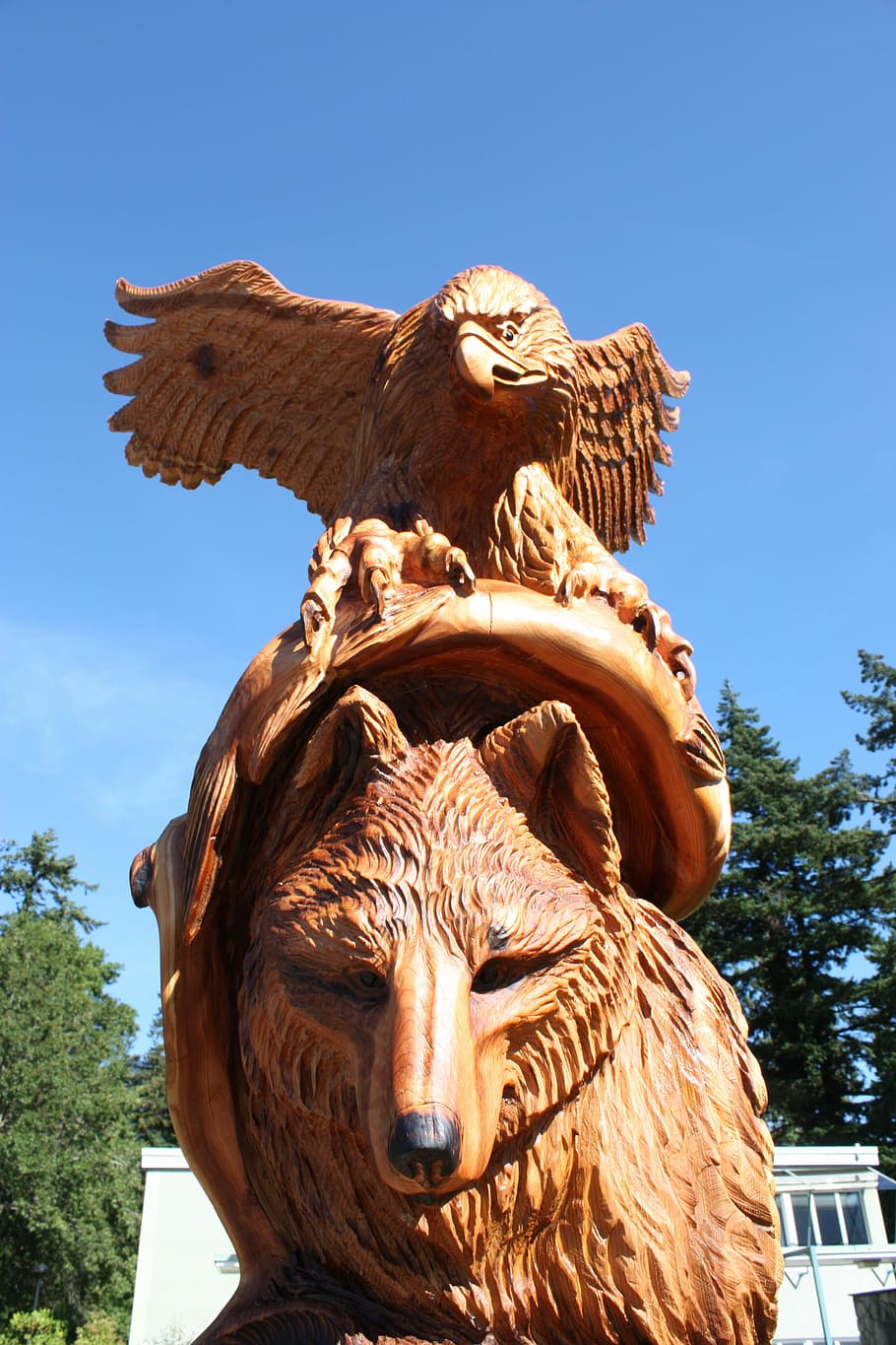 Wolf, Chainsaw, Wood Carvings, Hope, Bc, chainsaw wood carvings, HD wallpaper