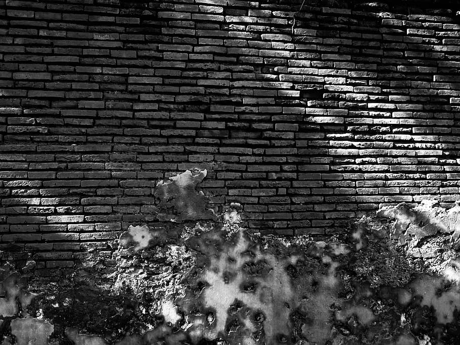 Wall, Shadow, black, brick wall, day, outdoors, architecture HD wallpaper
