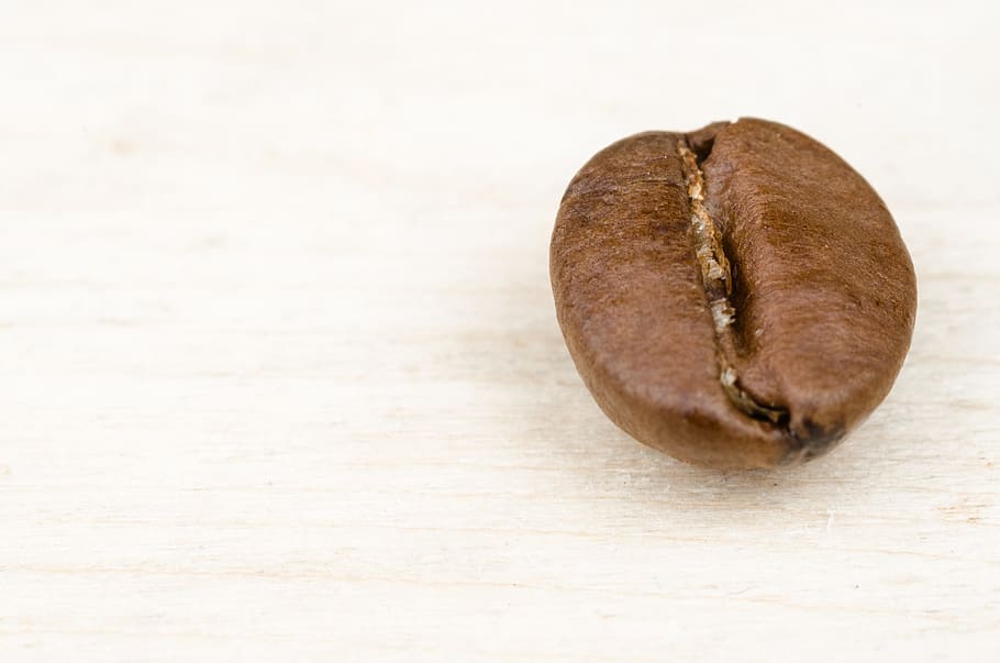 brown nut on top of white board, coffee, caffeine, seed, background HD wallpaper