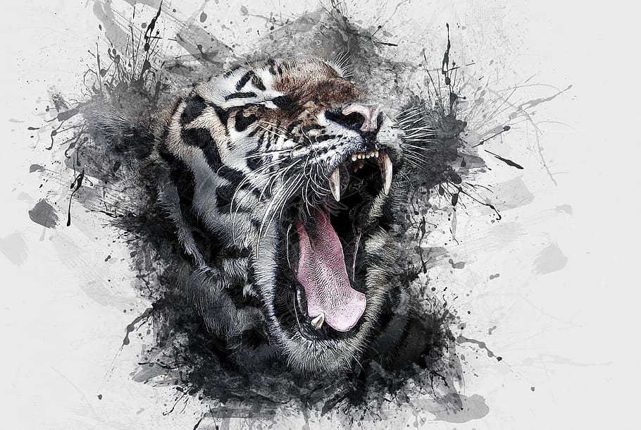 bengal tiger illustration, head, wildlife, animal, feline, cat, HD wallpaper