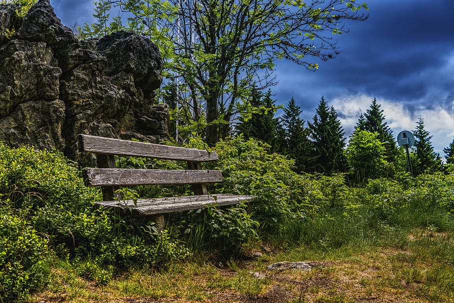 brown wooden bench beside bush under dark clouds during daytime