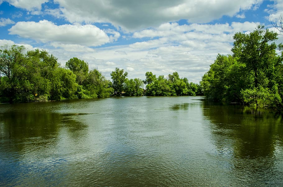 akhtuba, astrahanskaia, spring, spill, tree, cloud - sky, water HD wallpaper