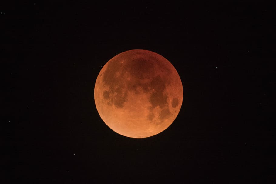 blood moon, brown moon, red moon, supermoon, full moon, night, HD wallpaper