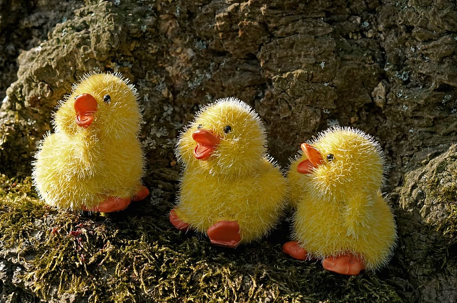easter, chicken, decoration, easter decoration, spring, happy easter HD wallpaper