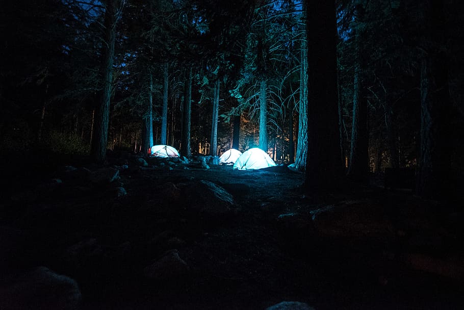 three dome tents with light between forest, three lighted dome tents surrounded by green leaf trees HD wallpaper