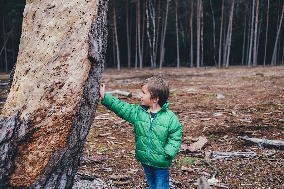 standing boy touching tree trunk at daytime, child, forest HD wallpaper