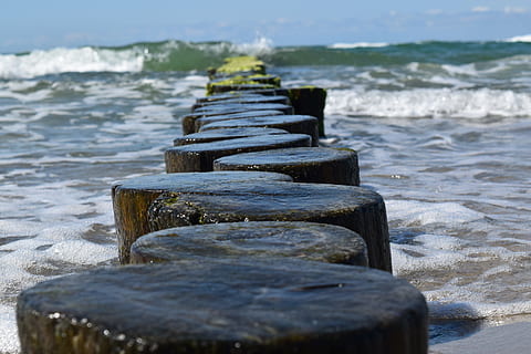 baltic sea, ahrenshoop, water, beach, no people, land, nature HD wallpaper