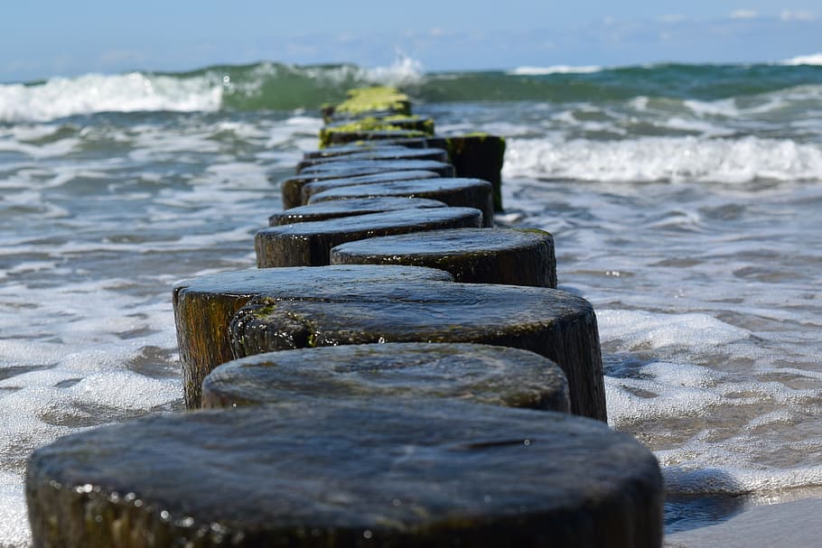 baltic sea, ahrenshoop, water, beach, no people, land, nature HD wallpaper