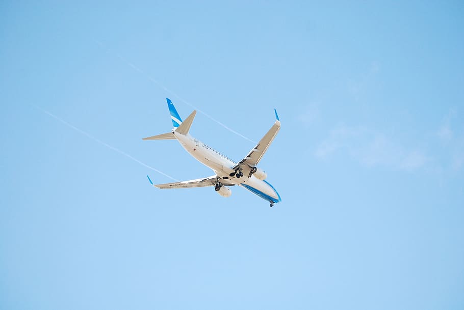 flight, plane, air, fly, air vehicle, flying, airplane, mode of transportation HD wallpaper