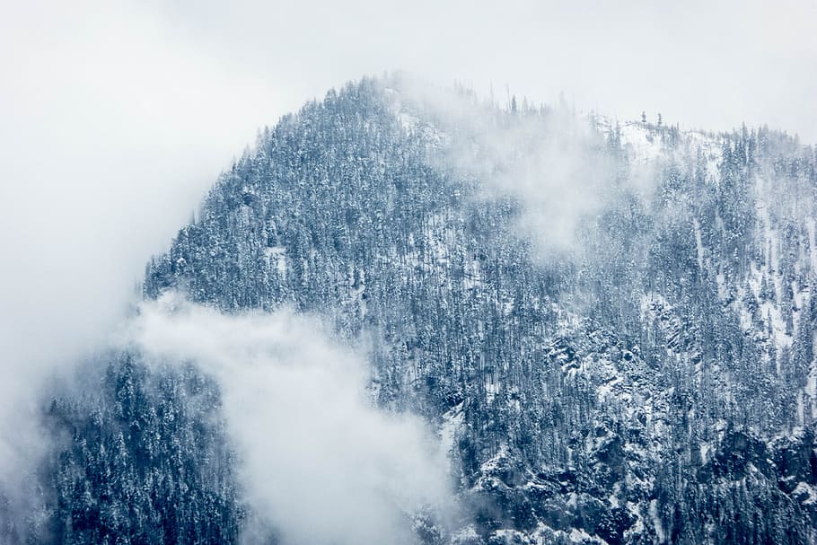snow covered trees during daytime, aerial photo of snow covered mountain HD wallpaper