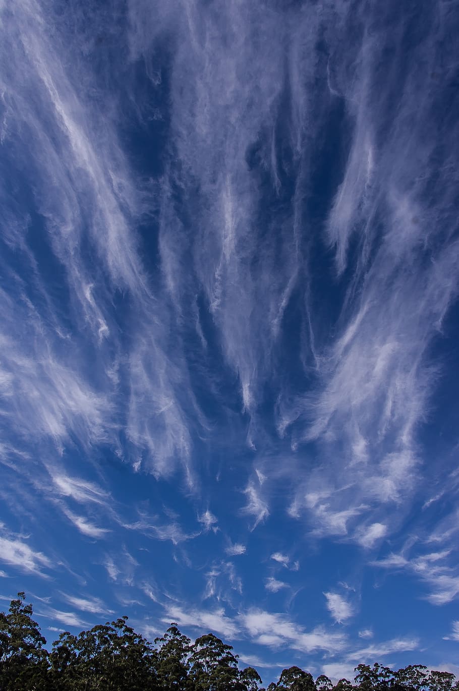 sky, clouds, sun light, blue, white, pattern, horizon, trees HD wallpaper