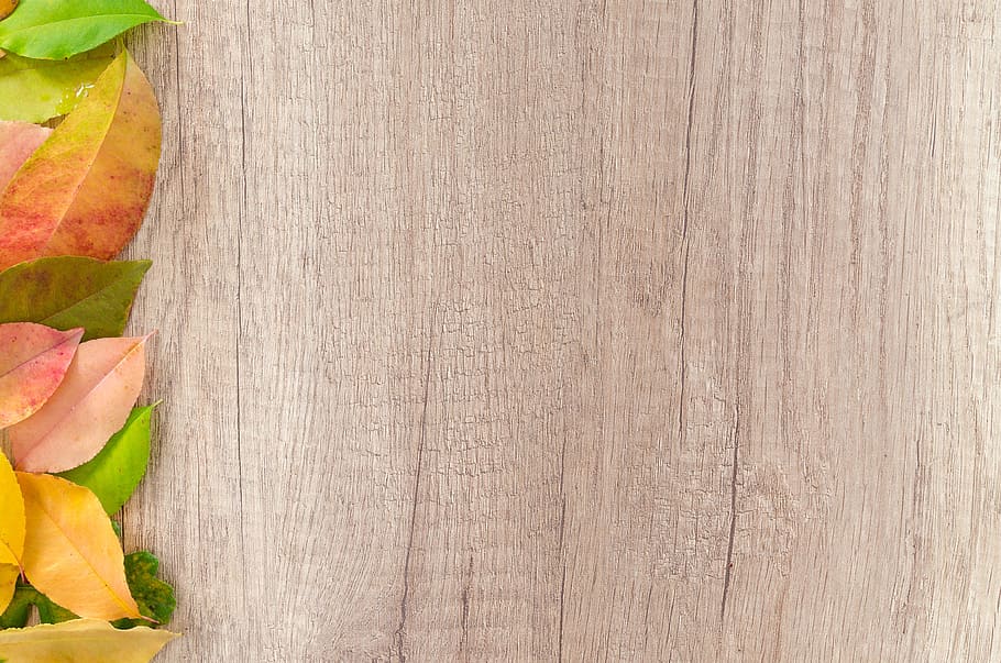 Brown Wooden Board, autumn, background, dry, dry leaves, fall HD wallpaper
