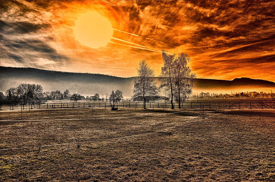 digital, effect, global, sky, sunset, plant, land, nature, tree HD wallpaper