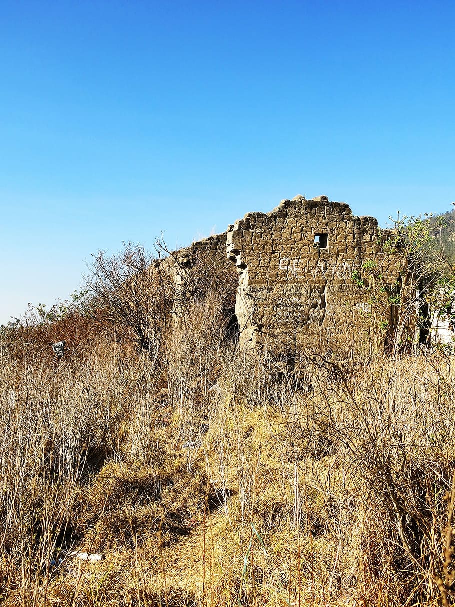ruins, abandon, destruction, sky, plant, clear sky, land, day HD wallpaper
