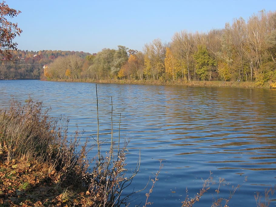 Danube, River, Ulm, Bank, autumn, landscape, lake, water, nature HD wallpaper
