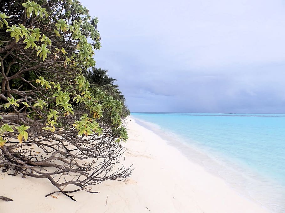 beach, sea, maldives, blue, water, clouds, lazur, holidays, HD wallpaper