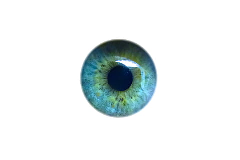 close up photo of ball eye lid, iris, look, see, pupil, human eye HD wallpaper