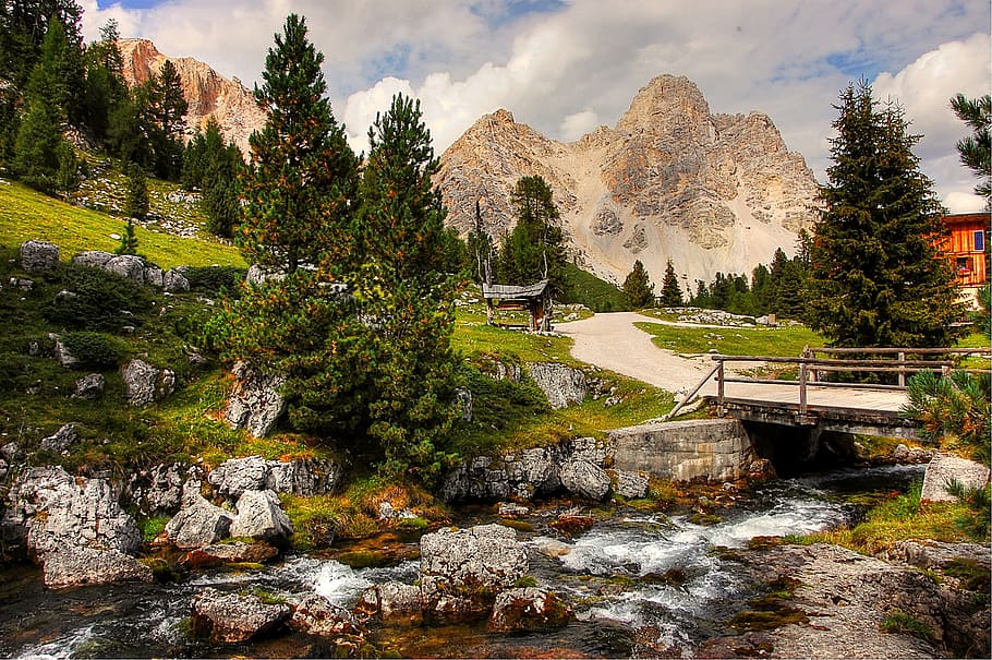green trees surrounding river with bridge, Dolomites, Fanes, Landscape, HD wallpaper