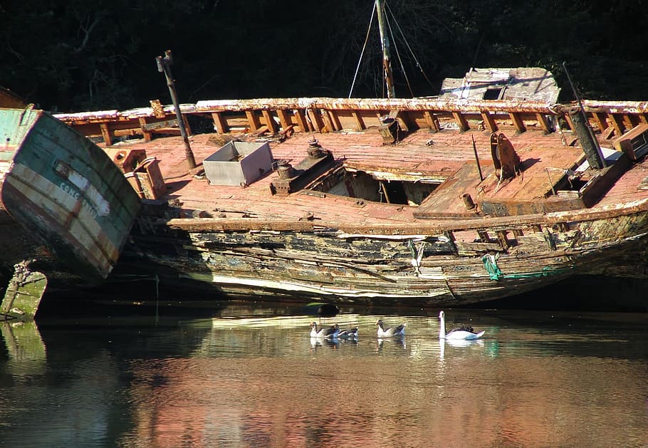 ducks in body of water beside ship, Boats, Old, Ships, Wrecks