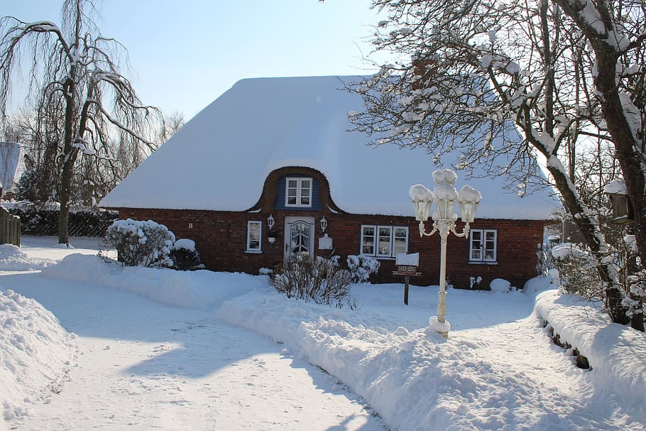 snow, winter, cold, frozen, frost, architecture, building exterior HD wallpaper