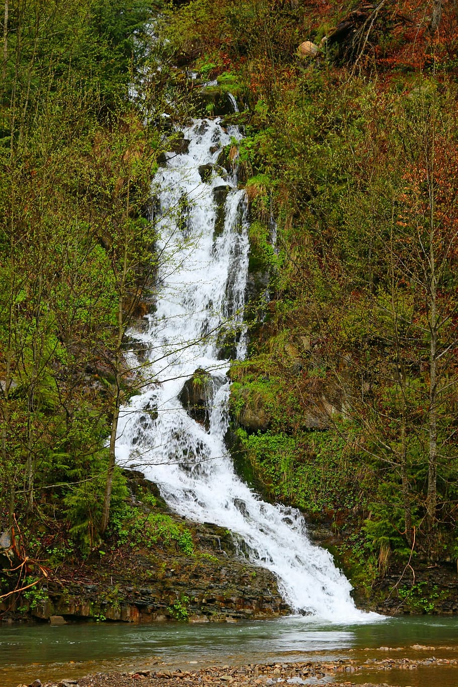 waterfall, carpathians, plant, motion, land, beauty in nature HD wallpaper