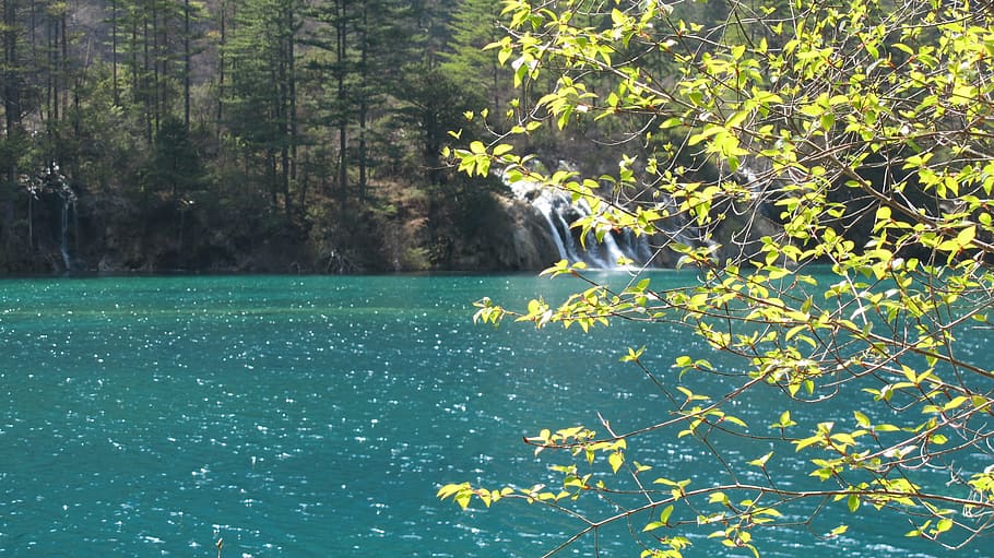 save, spring, jiuzhaigou, sea, background, properties, tree HD wallpaper