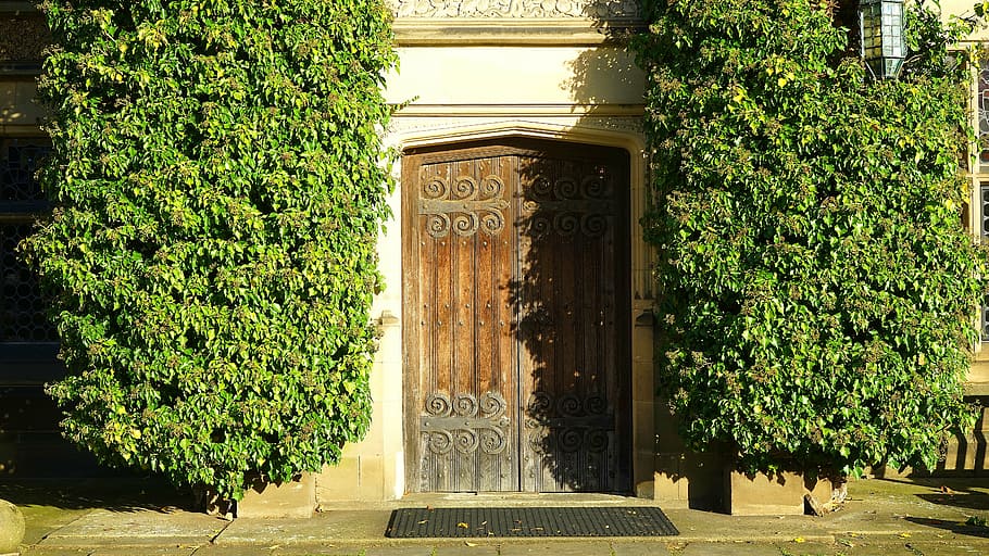 brown side-by-side door beside garden, wooden, entrance, home