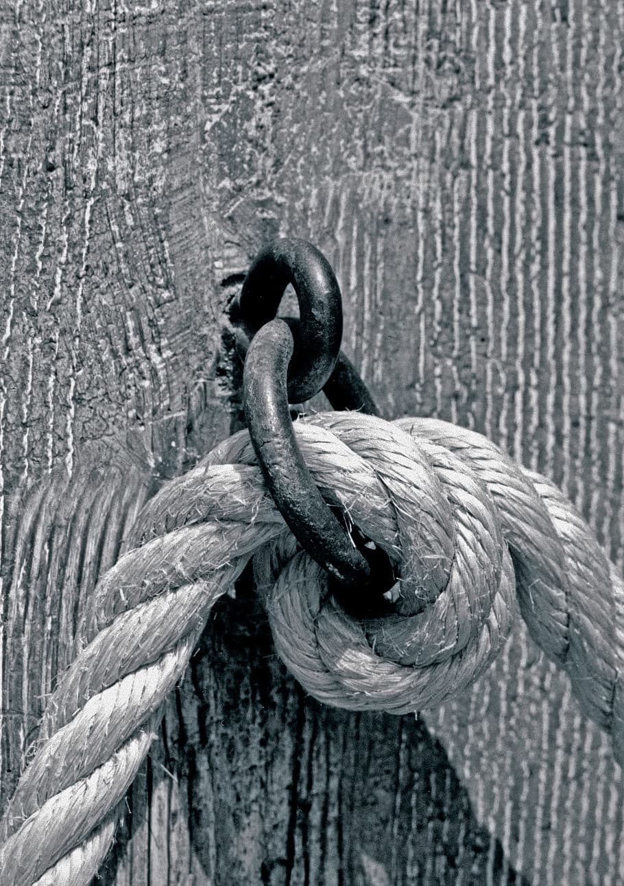 Rope, Hook, Force, Dew, containing, world, crisis, together HD wallpaper