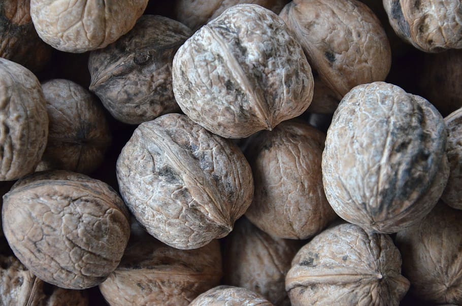 fruit, secca, walnuts, full frame, backgrounds, large group of objects HD wallpaper