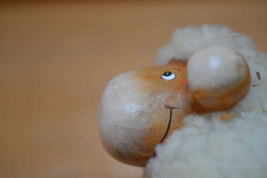 sheep, animal, lamb, head, sheep face, schäfchen, close-up HD wallpaper