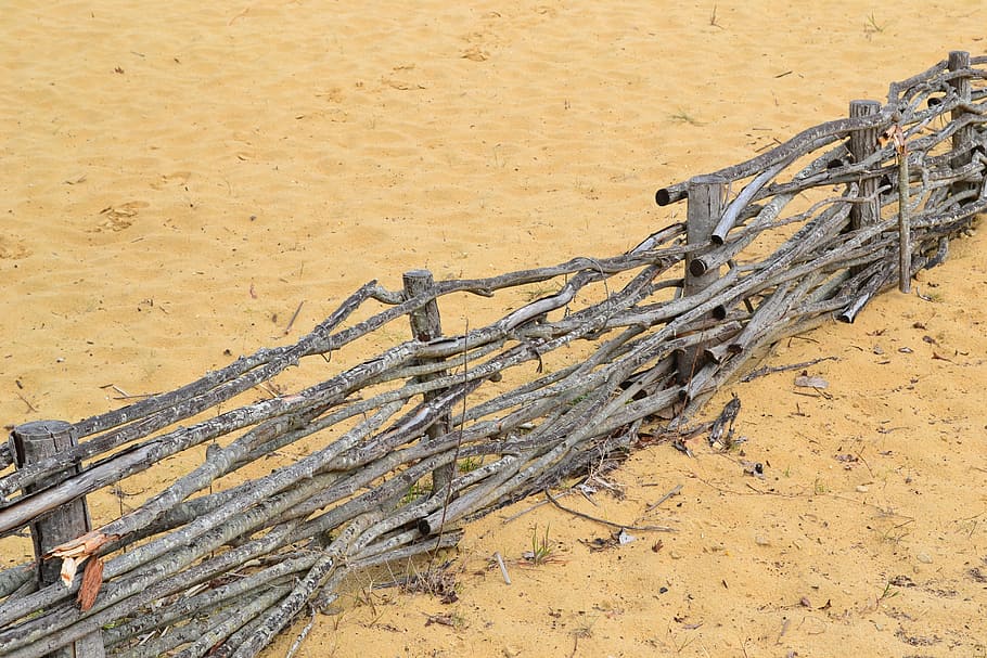 sand, palisade, beach, sandy beach, closing, wood, land, day HD wallpaper