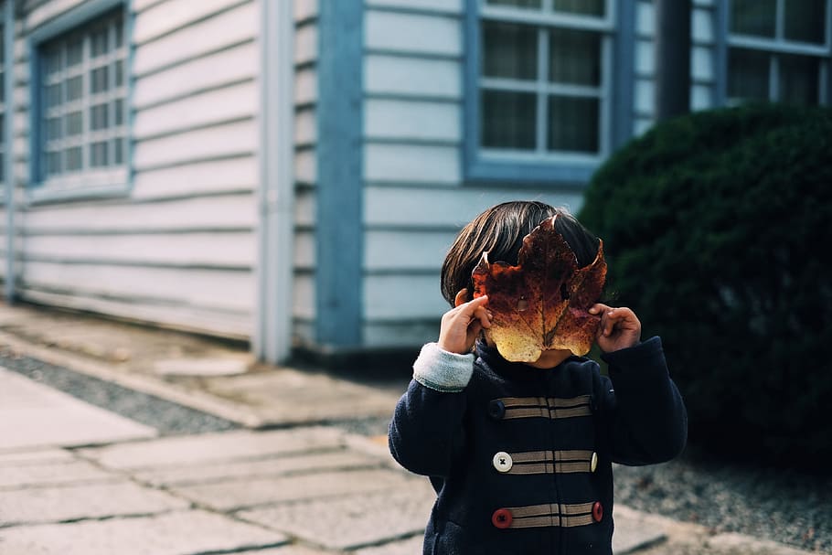 toddler covering his face with leaf, Who I am, child, mask, boy HD wallpaper