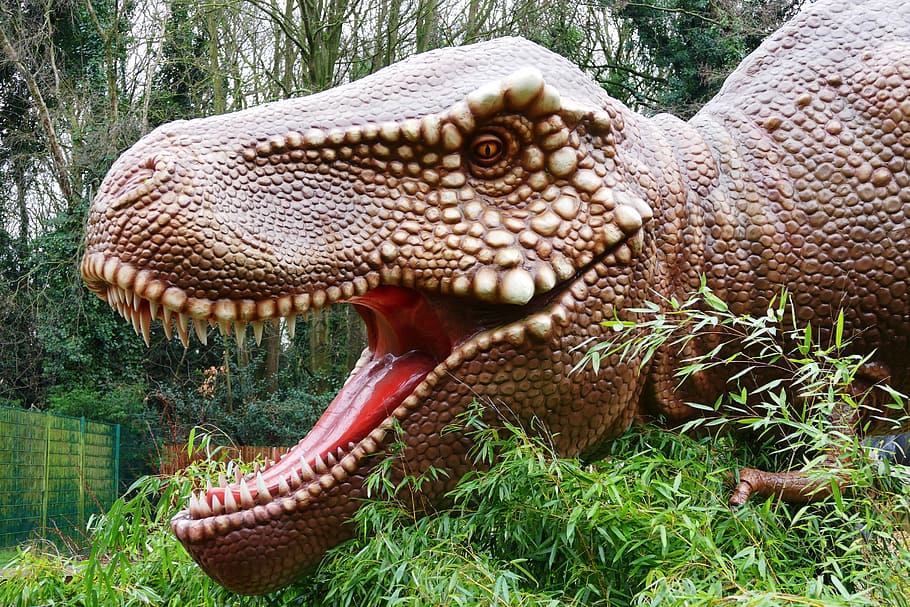 brown T-rex statue near trees at daytime, Dinosaurs, Prehistoric, HD wallpaper