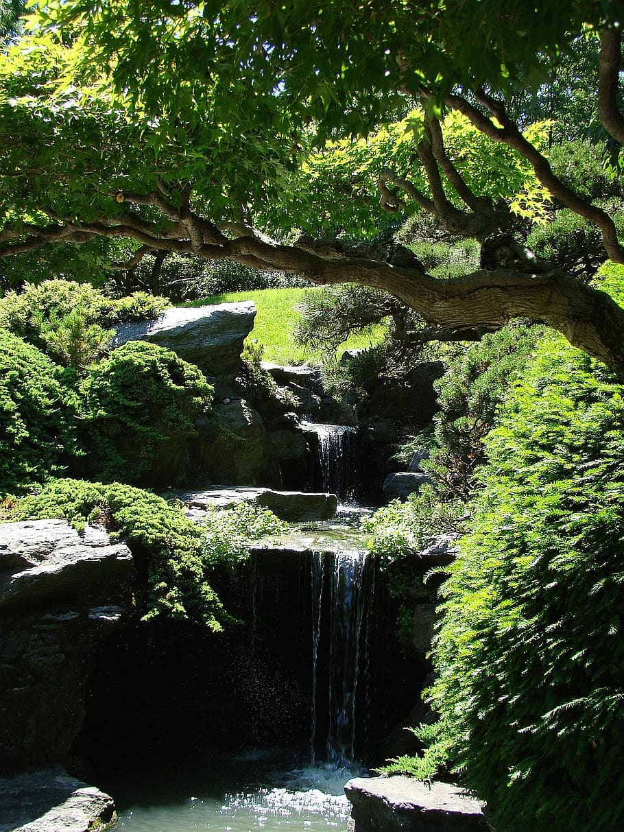 Garden falls. Японский сад. Литтл Фоллс. Trees with Green Falls.