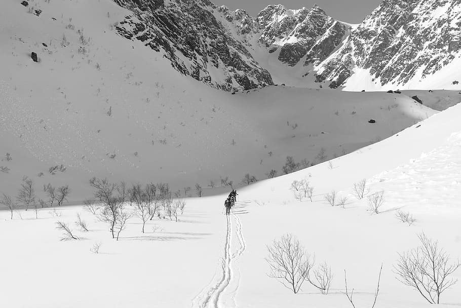 selective focus of person walking at snow, people passing through mountain covered with snow HD wallpaper