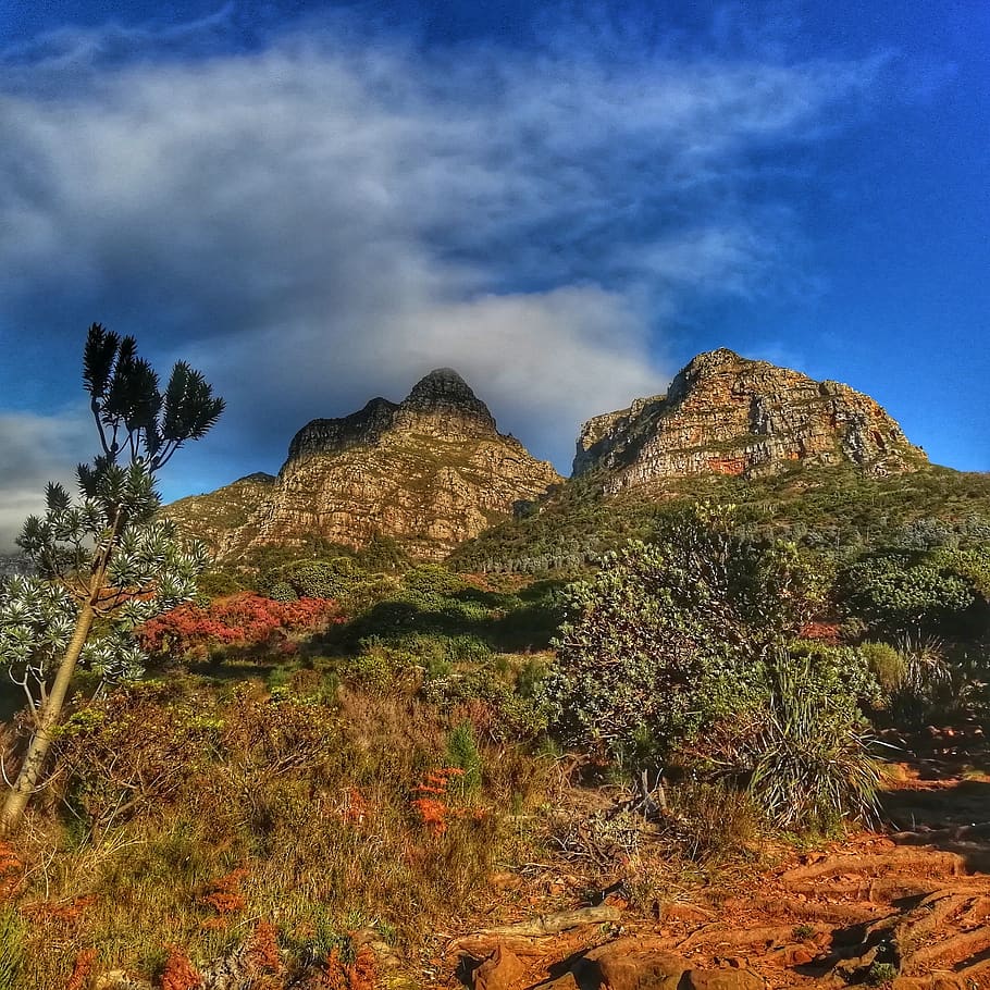 devils, peak, cape, town, mowbray, sky, cloud - sky, plant HD wallpaper