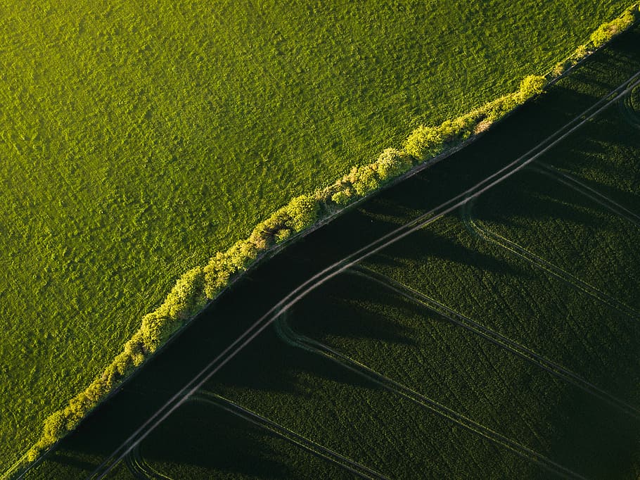 bird's eye view photo of green grass field, green textile, tree HD wallpaper