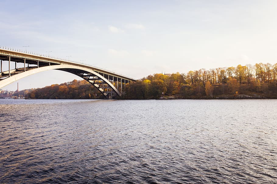 Bridge, Water, Trees, Lake, river, architecture, scenery, bridge - man made structure HD wallpaper
