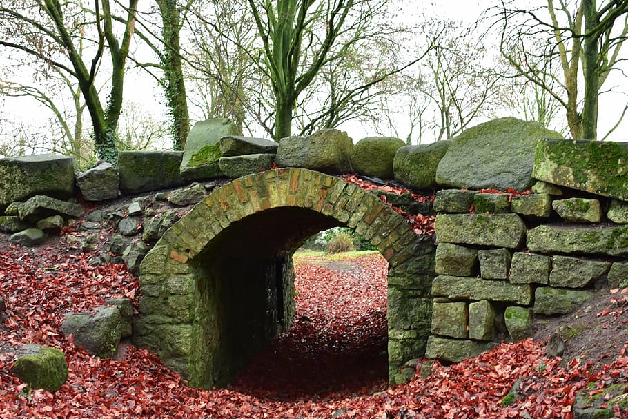 old bridge, stone bridge, outdoors, tree, arch, plant, architecture HD wallpaper