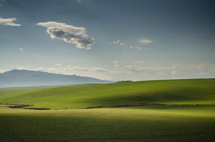 meadows, pasture, grass, fields, sky, landscapes, clouds, green HD wallpaper