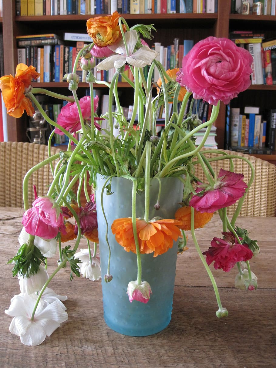 flowers, vase, perish, slap, art, flowering plant, freshness, HD wallpaper
