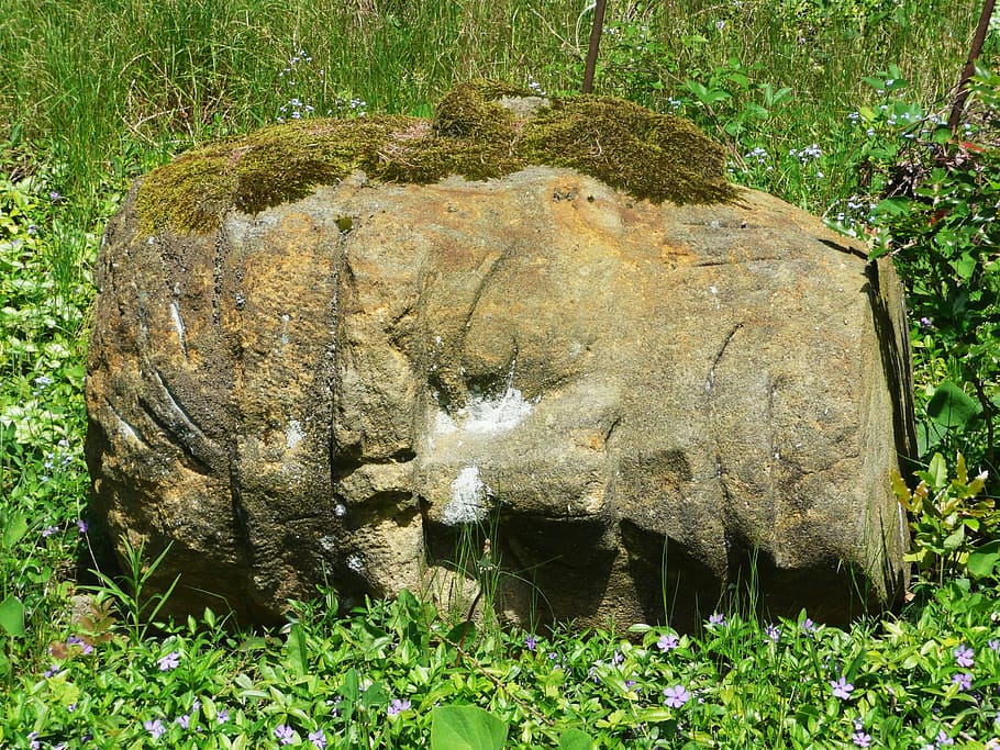 Stone, Statue, Head, Moss, Old, History, background, grass HD wallpaper