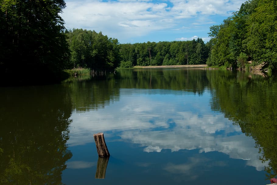 lake, clouds, landscape, nature, water, tree, reflection, outdoors HD wallpaper